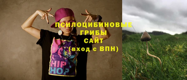 соль ск Горно-Алтайск