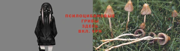 спайс Горняк