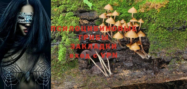 ешки Волоколамск