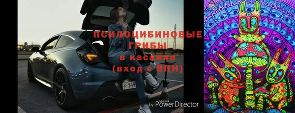 мдпв Володарск