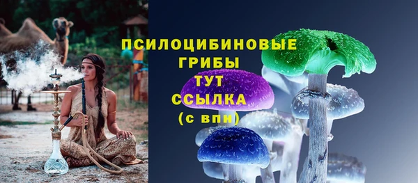 мдпв Володарск