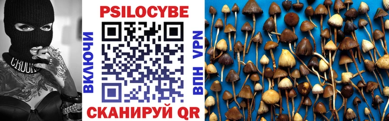 Псилоцибиновые грибы ЛСД  Дубовка 